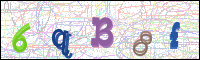 V&eacute;rification de l'image