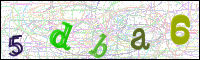 Vérification de l'image