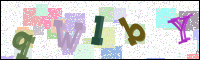 Vérification de l'image