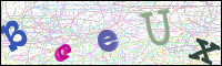 V&eacute;rification de l'image