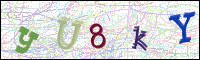 V&eacute;rification de l'image